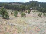 14691 Crooked Trail Rd - Photo 11