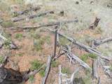 14691 Crooked Trail Rd - Photo 12