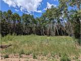 3070 Henderson Dr - Photo 4