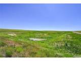  Last Dart Rd - Photo 3
