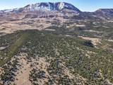 106 Colorado Land & Grazing - Photo 20