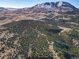 106 Colorado Land & Grazing - Photo 22