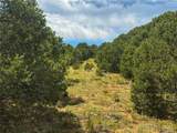 106 Colorado Land & Grazing - Photo 9