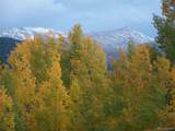  Glacier Ridge Rd - Photo 12