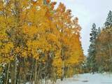  Glacier Ridge Rd - Photo 15