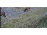 1862 River Island Dr - Photo 14