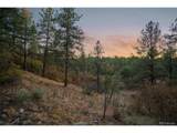 11011 Sunset Oaks Pl - Photo 3
