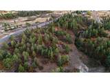 11011 Sunset Oaks Pl - Photo 9