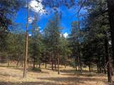 271 Thunder Rdg - Photo 10