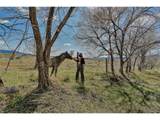 17055 Cr 81 - Photo 40