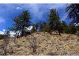  Virginia Canyon Rd - Photo 8