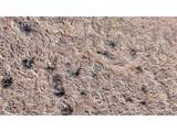 10767 Sawatch Range Rd - Photo 16