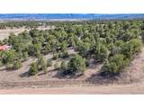 10767 Sawatch Range Rd - Photo 3