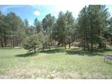 856 Woodridge Rd - Photo 6