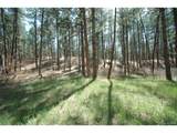 856 Woodridge Rd - Photo 7