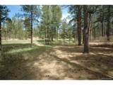 856 Woodridge Rd - Photo 8