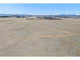 3179 Rhyolite Dr - Photo 7