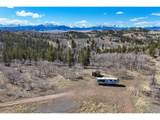 4019 Buffalo Ridge Rd - Photo 7