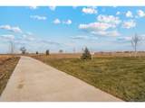 2165 Alyssa St - Photo 25