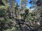6031 Bruce Rd - Photo 14