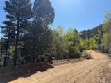 6031 Bruce Rd - Photo 5