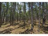 17960 Smugglers Rd - Photo 4