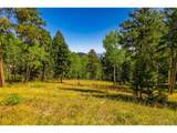 13007 Kuehster Rd - Photo 15