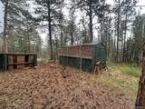 33691 Nova Rd - Photo 5
