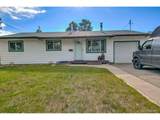 1208 Mount Massive Dr - Photo 1
