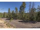 0 Ponderosa Dr - Photo 9
