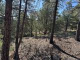 69 Coyote Run Rd - Photo 11