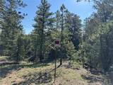 69 Coyote Run Rd - Photo 13