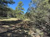 69 Coyote Run Rd - Photo 15