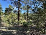 69 Coyote Run Rd - Photo 18