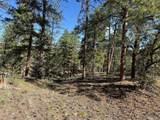 69 Coyote Run Rd - Photo 31