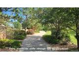 12164 Adams St - Photo 38