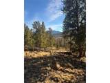 84 Pine Ridge Rd - Photo 13