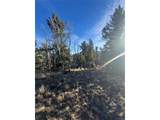 84 Pine Ridge Rd - Photo 18