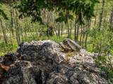 682 Alps Hill Rd - Photo 46