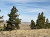 990 Coyotero Trl - Photo 4