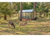 7994 Towhee Rd - Photo 50
