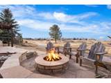 1251 Buffalo Ridge Rd - Photo 23