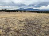 78 Navajo Ranch Resorts - Photo 1