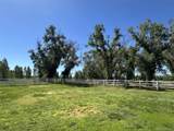 4725 County Road 107 - Photo 5