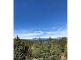 5457 Bear Mountain Dr - Photo 41