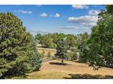 26 Cherry Lane Dr - Photo 42
