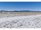 6983 County Road 53 - Photo 10