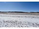 6983 County Road 53 - Photo 12
