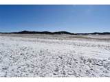 6983 County Road 53 - Photo 13