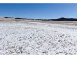 6983 County Road 53 - Photo 14